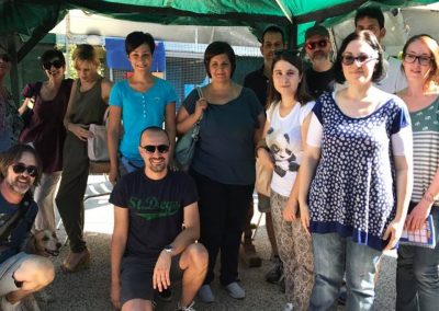 Gruppo visita guidata