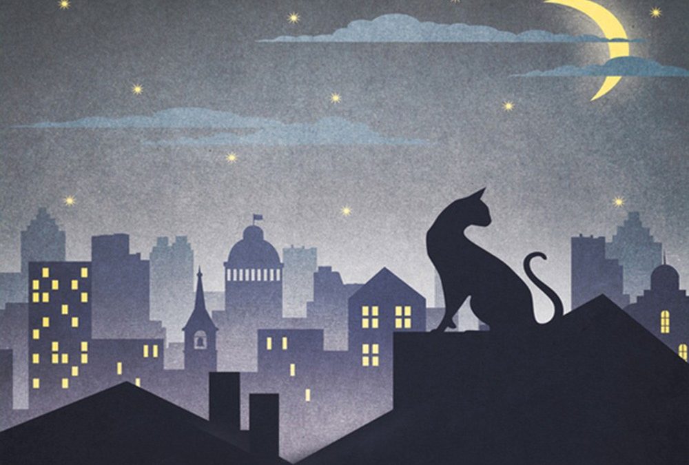 Il Gatto che se ne andava da solo
