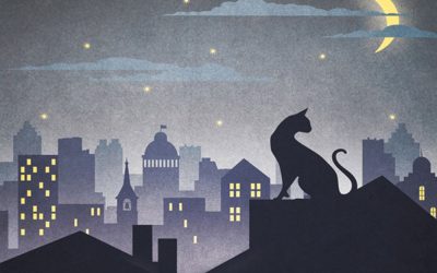 Il Gatto che se ne andava da solo