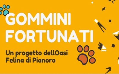 Come partecipare al Progetto