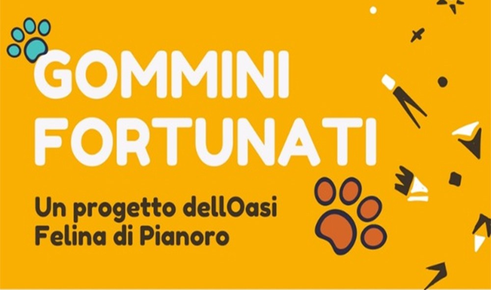 Come partecipare al Progetto