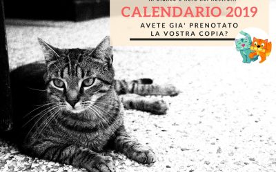 Il Calendario dell’Oasi 2019