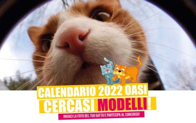 Per il nostro calendario 2022 cerchiamo modelli, partecipa anche tu!