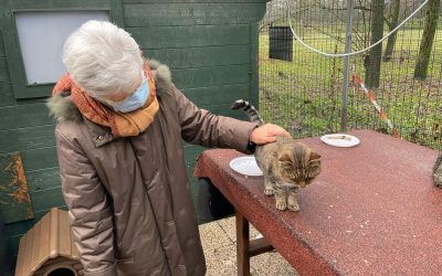 Boris va nella sua nuova casa