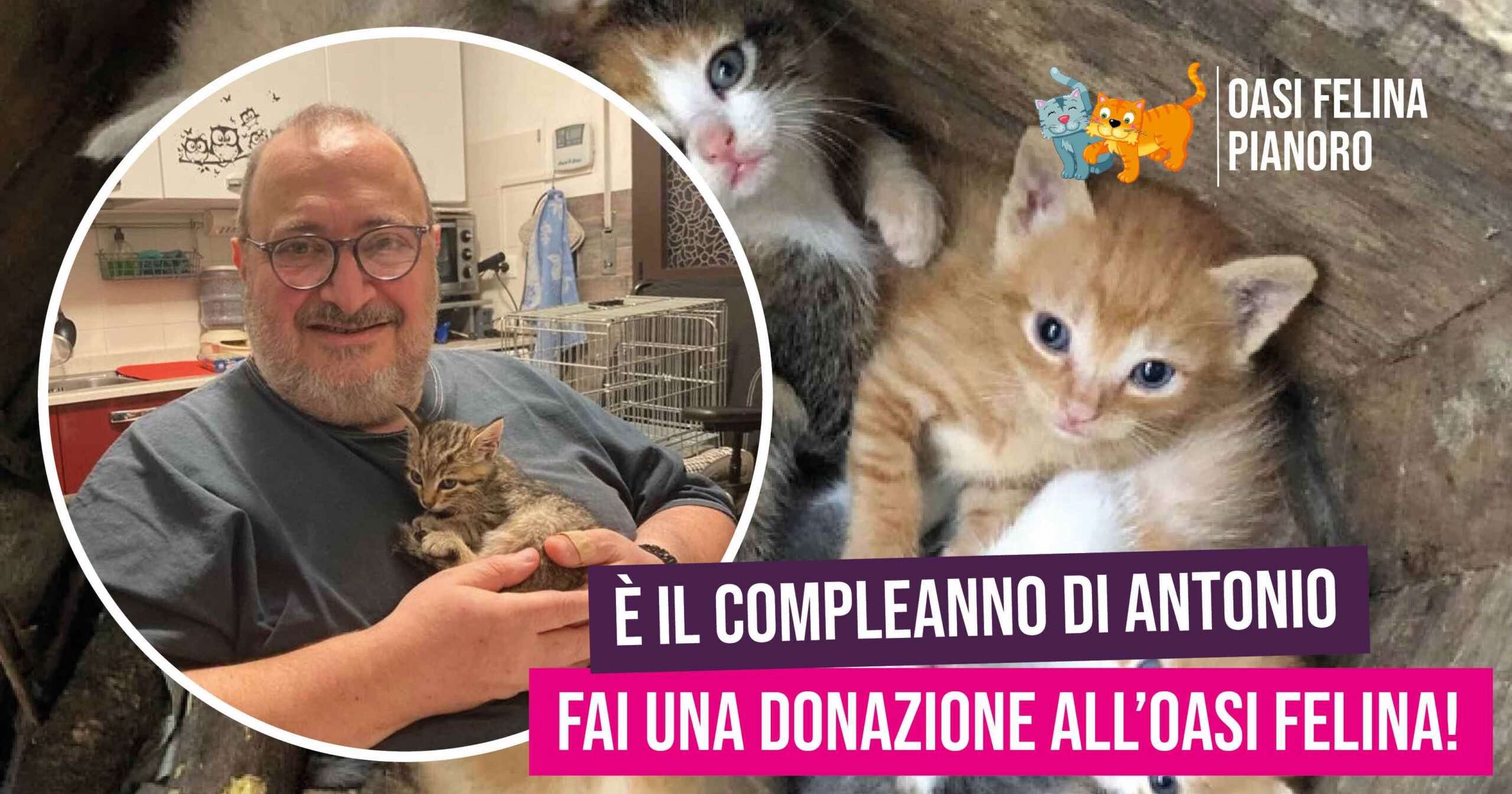 anteprima-compleanno-scaled
