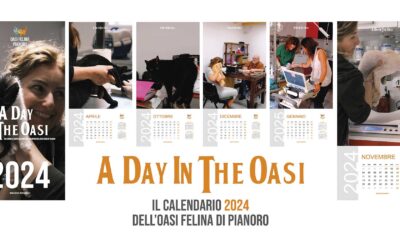 Calendario 2024 Oasi Felina Pianoro