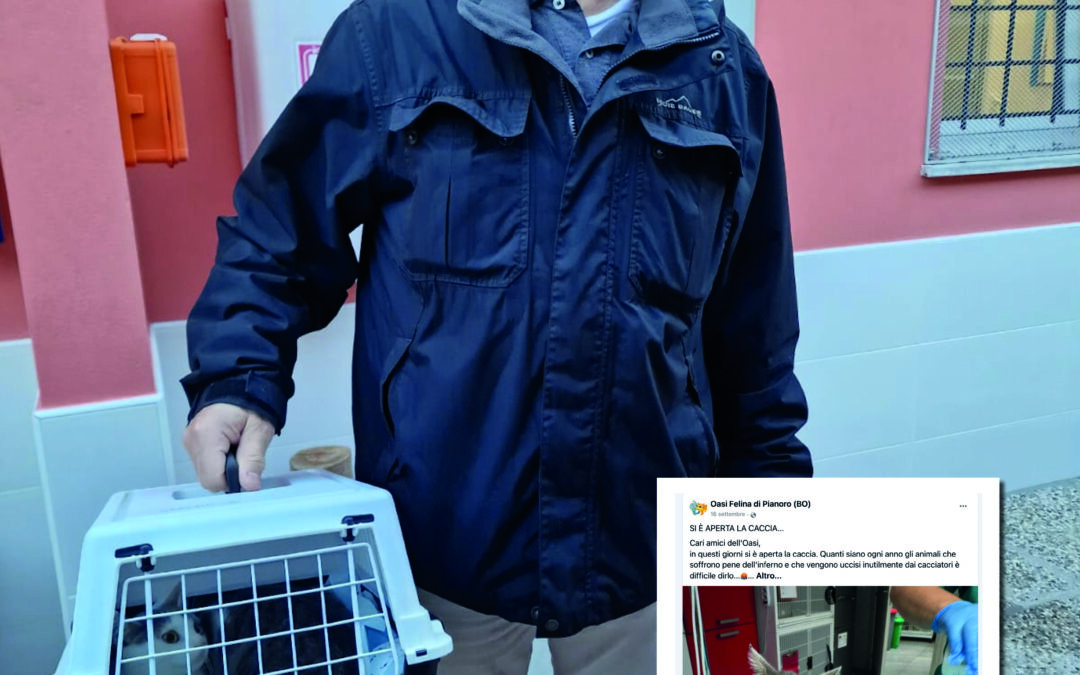 Libero di amare e di essere amato