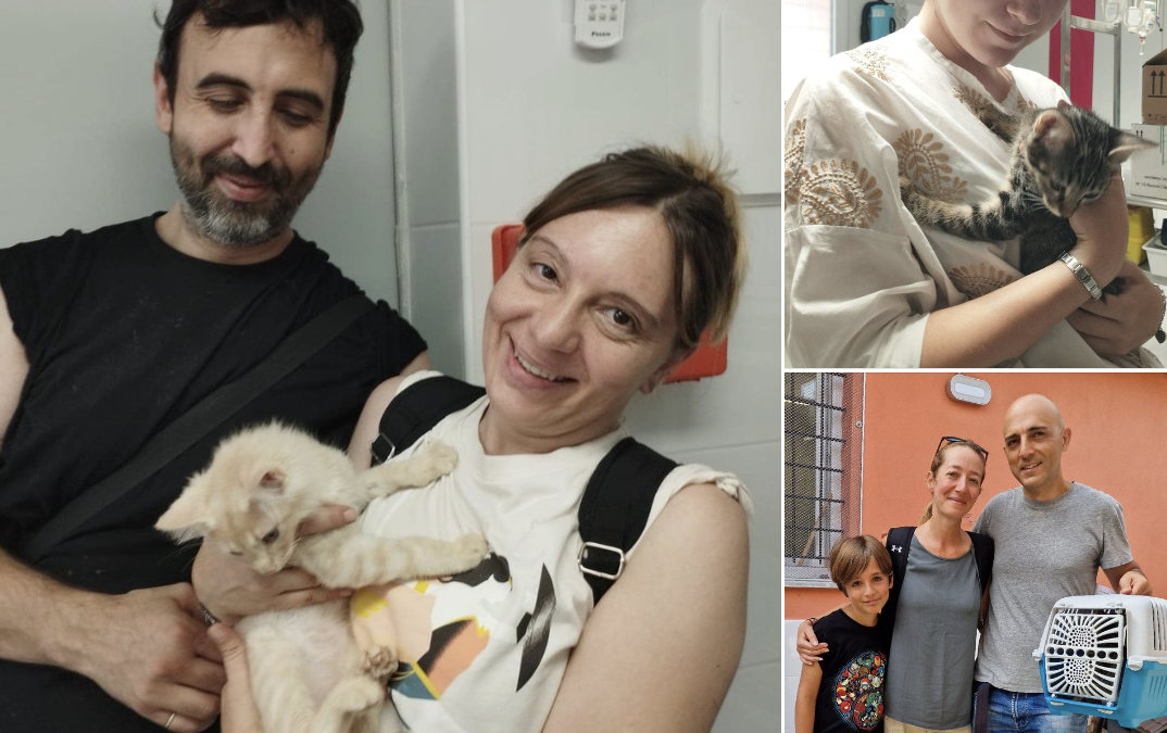 Honey, Sugar e Ellie adottati!