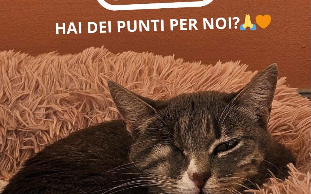 Puoi donare i punti Esselunga ai mici stropicciati? Si!